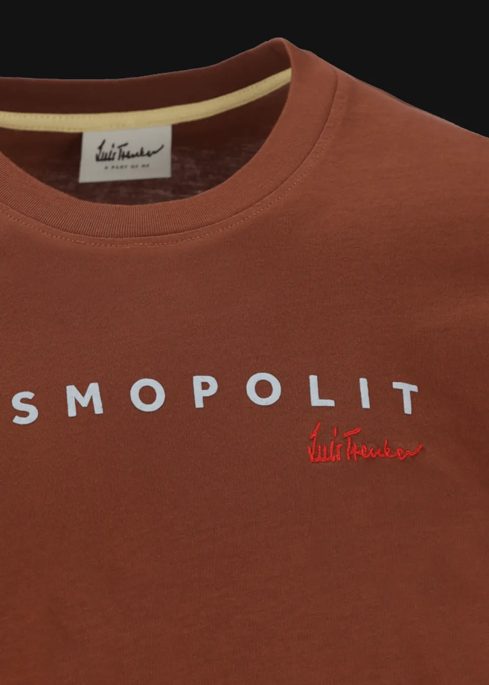 Herren Luis Trenker T-Shirt Mit Logostickerei Und Print Kosmopolit